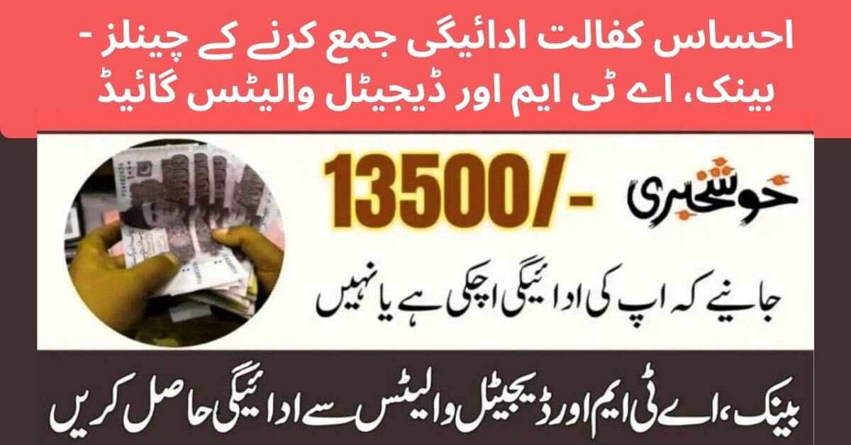 Ehsaas Kafalat Payment Collection Channels