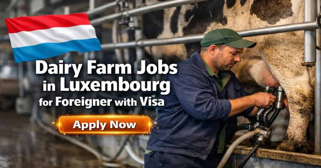 Dairy Farm Jobs in Luxembourg for Foreigner with Visa